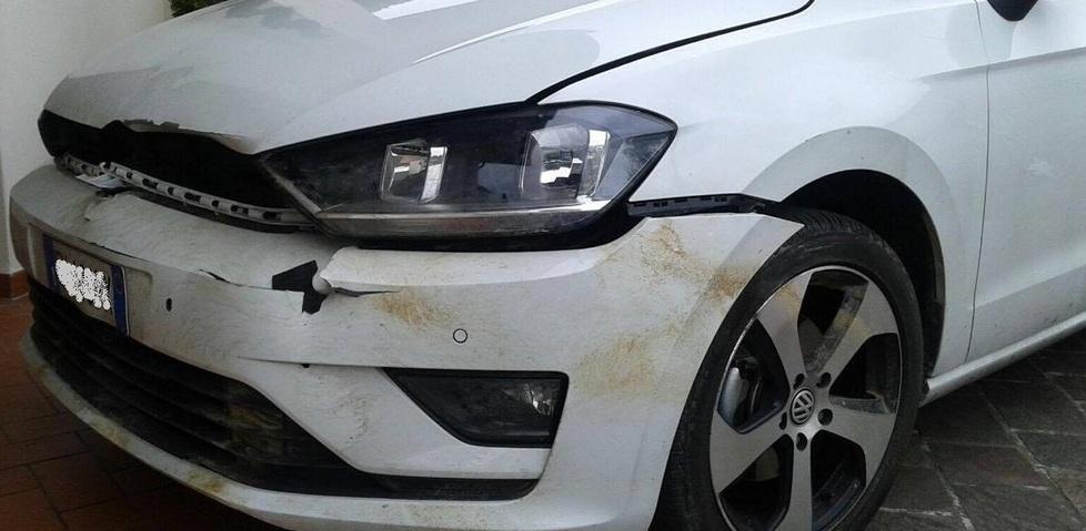 Investe con l'auto un cinghiale, salva per un soffio 
