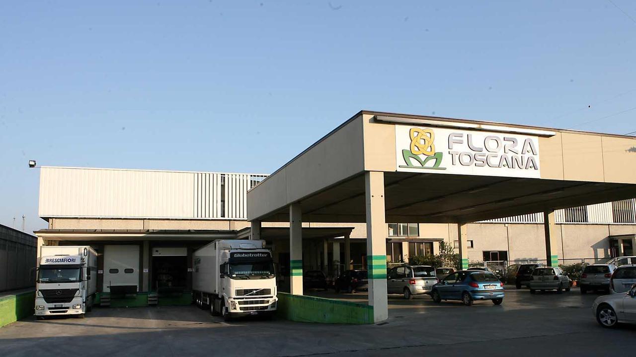 L'ingrosso pesciatino della coop Flora Toscana (foto Nucci)