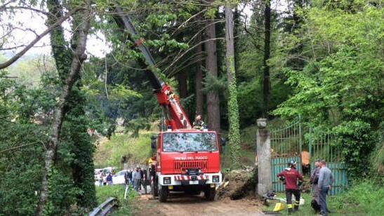 Cireglio, cade un grosso abete «Un evento annunciato»