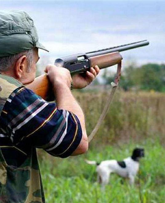 È un tiro al piccione. La Regione: 100mila sono da abbattere 