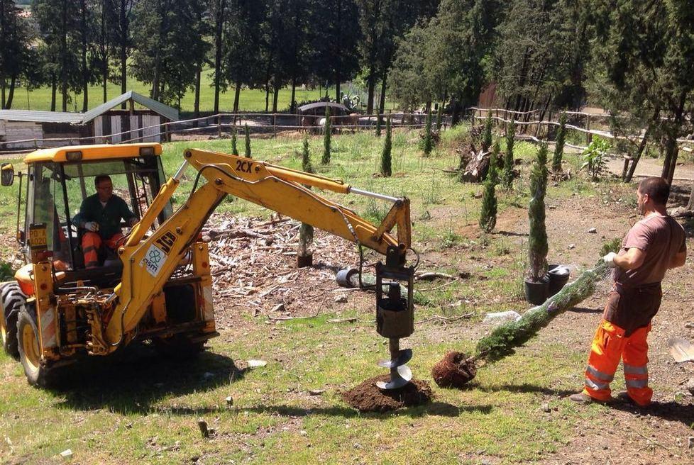 Piantati 170 alberi a Galceti, furono sradicati dal vento