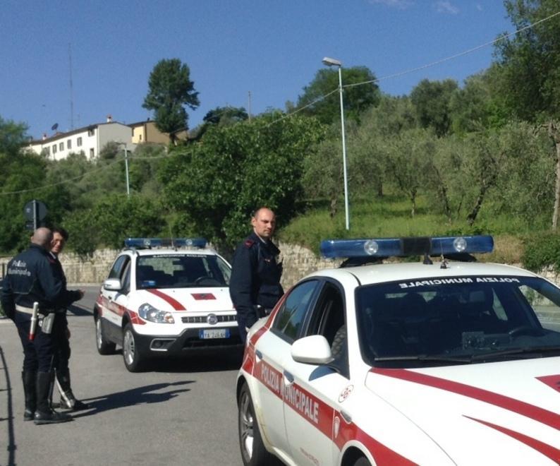 Capriolo ferito mette in allarme Santa Lucia Catturato viene visitato e poi soppresso