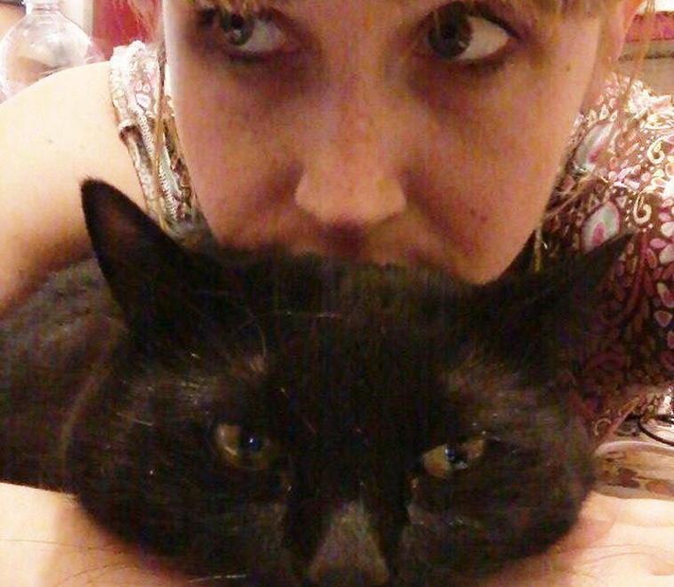 Bibite e fusa ecco il locale a misura di gatto 