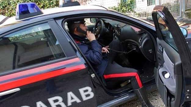 Scippa borsa dal cestino della bici