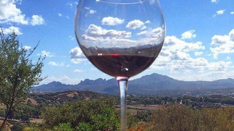 Buoni vini, bottiglie anonime: un concorso