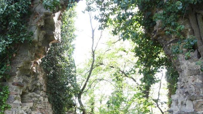 Gli amici con il culto di Matilde