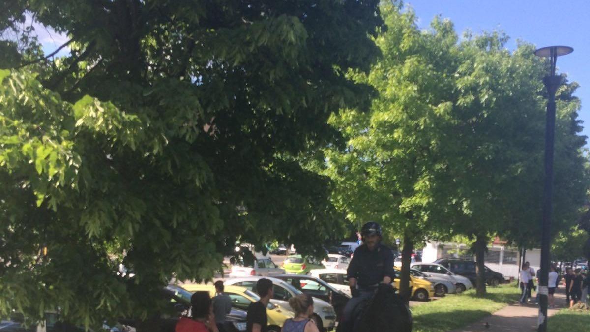 La pattuglia di polizia a cavallo