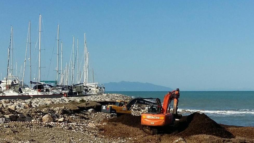 Alghe in spiaggia, iniziata la rimozione