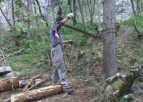 Forestali senza stipendio, si va in Regione 