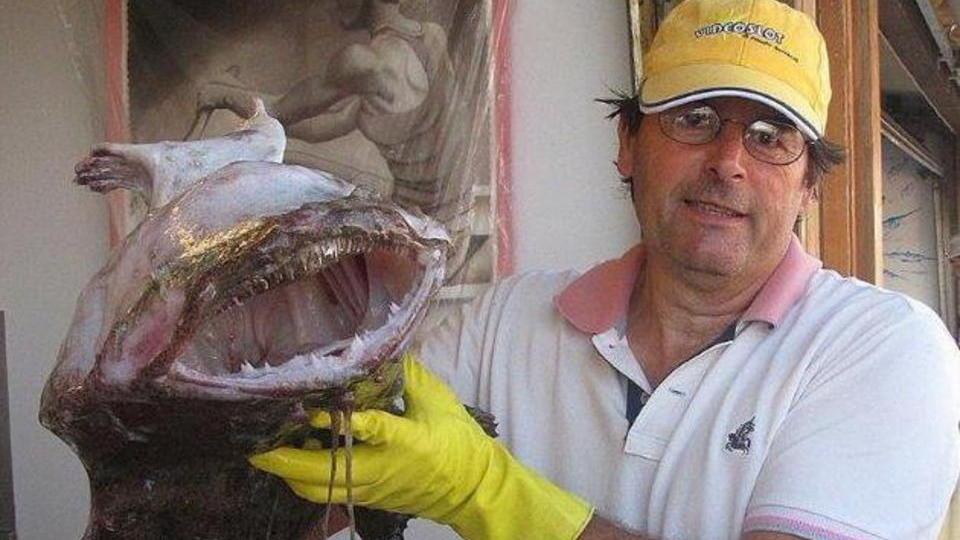 Il banco del pesce torna al mercato