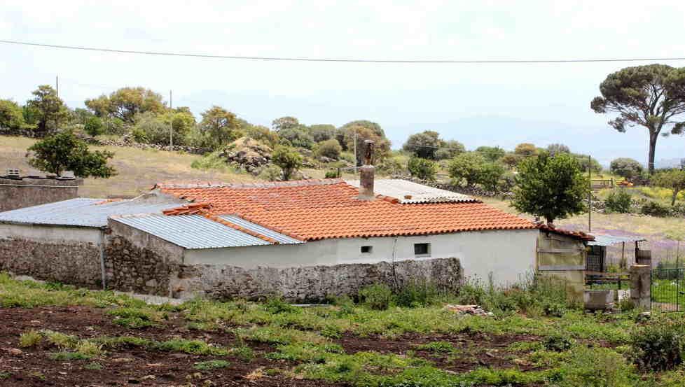 Bortigali, donna incornata da un toro grave in ospedale