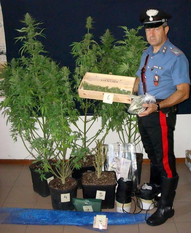 Impiegato e commessa di Montecatini coltivavano marijuana in soffitta, arrestati dai Carabinieri