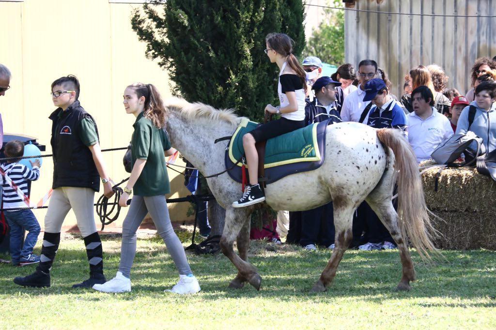 Bimbi a cavallo alla manifestazione dell'Esercito (Marzi/Pentafoto)