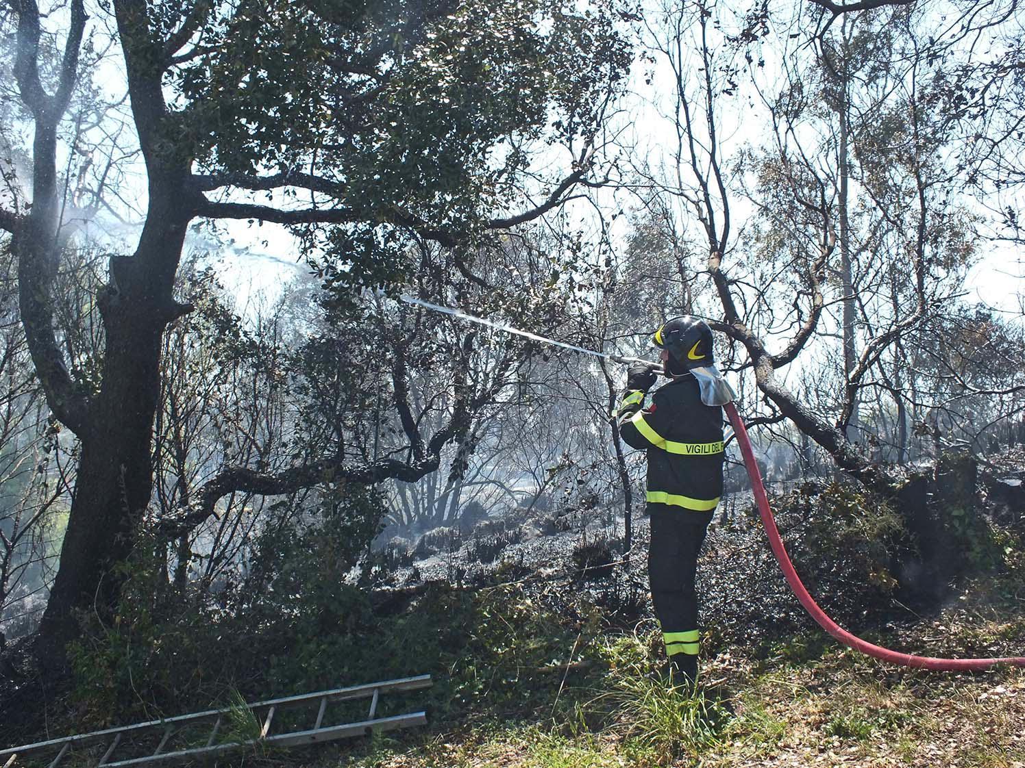 Un vigile del fuoco al lavoro per spegnere l'incendio al Gagno (foto Pabar)