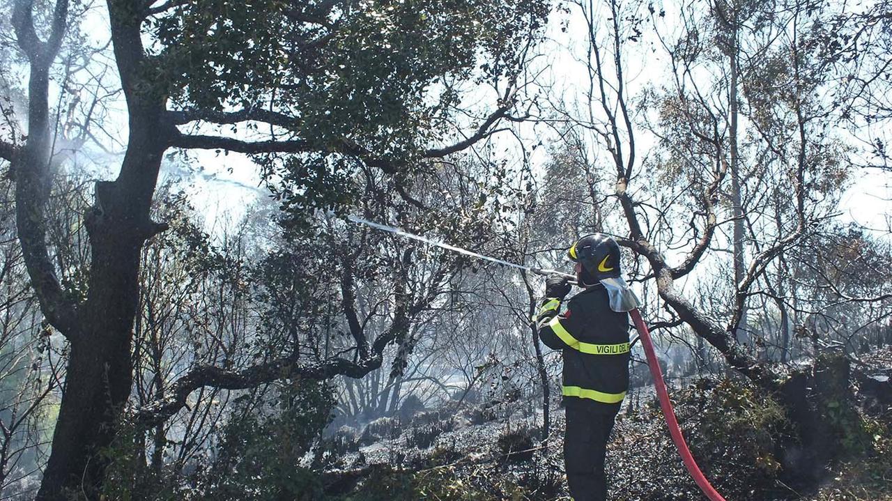 Un vigile del fuoco al lavoro per spegnere l'incendio al Gagno (foto Pabar)