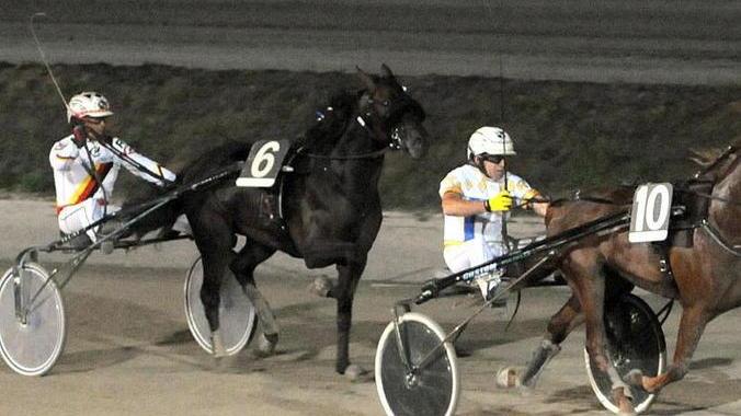 Scuderia Capricorno una bella prova per soggetti anziani