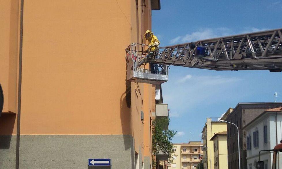Alveare rimosso dal palazzo