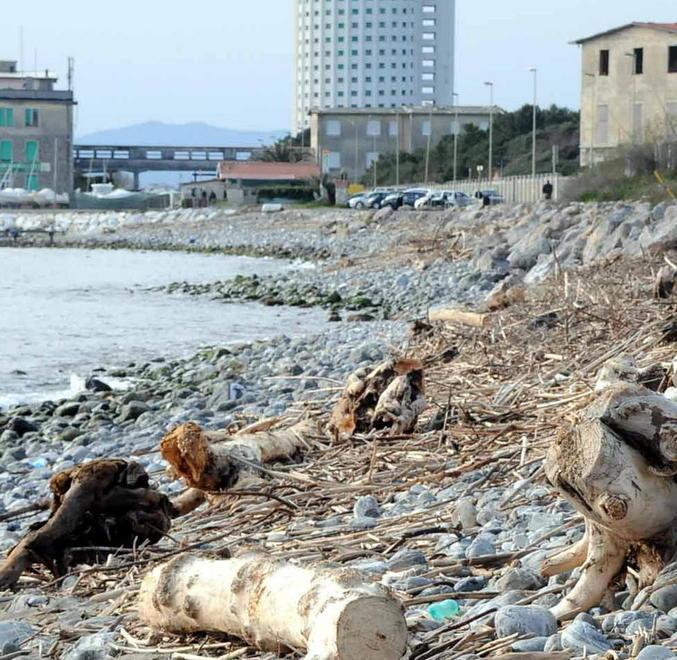 Niente vincoli, 11 milioni di opere 
