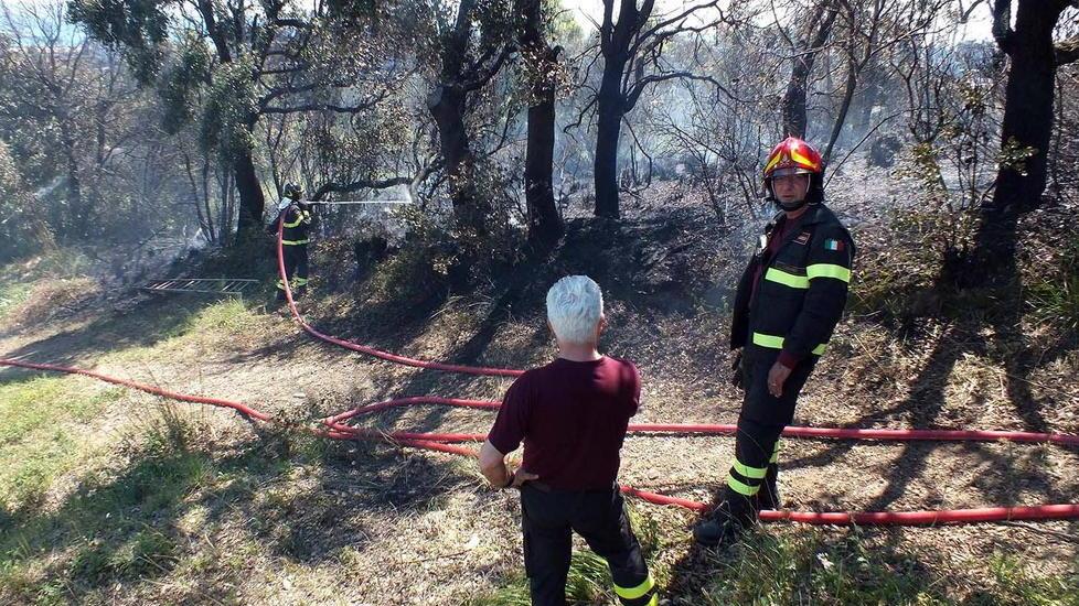 Incendio a ridosso delle case Vigili del fuoco in azione