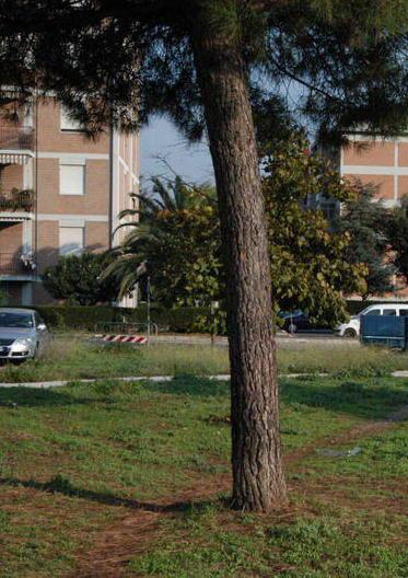Il Tar ha dato ragione all’azienda scartata E ora l’appalto è suo 