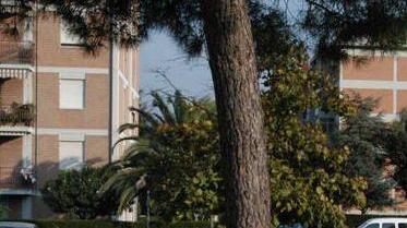 Il Tar ha dato ragione all’azienda scartata E ora l’appalto è suo