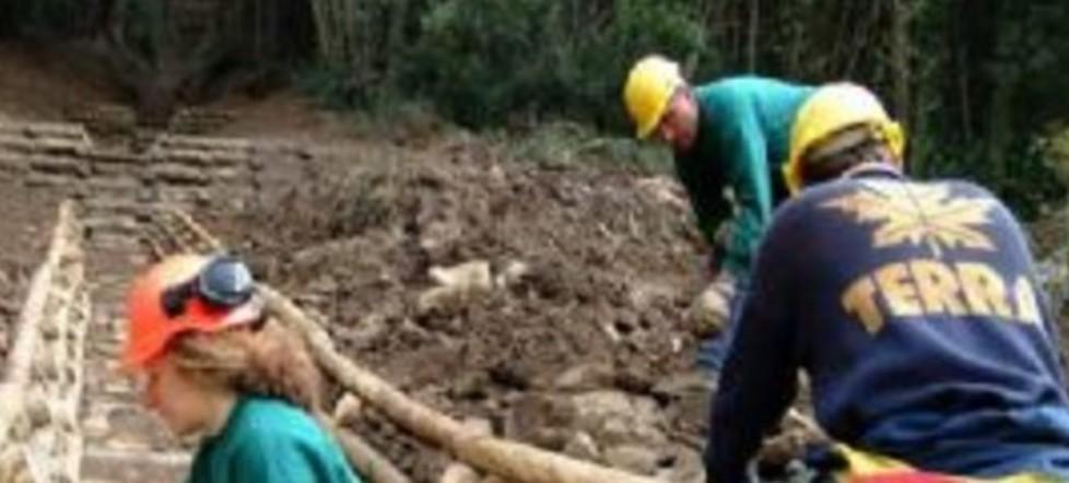 Nuova procedura per salvare la coop forestale 