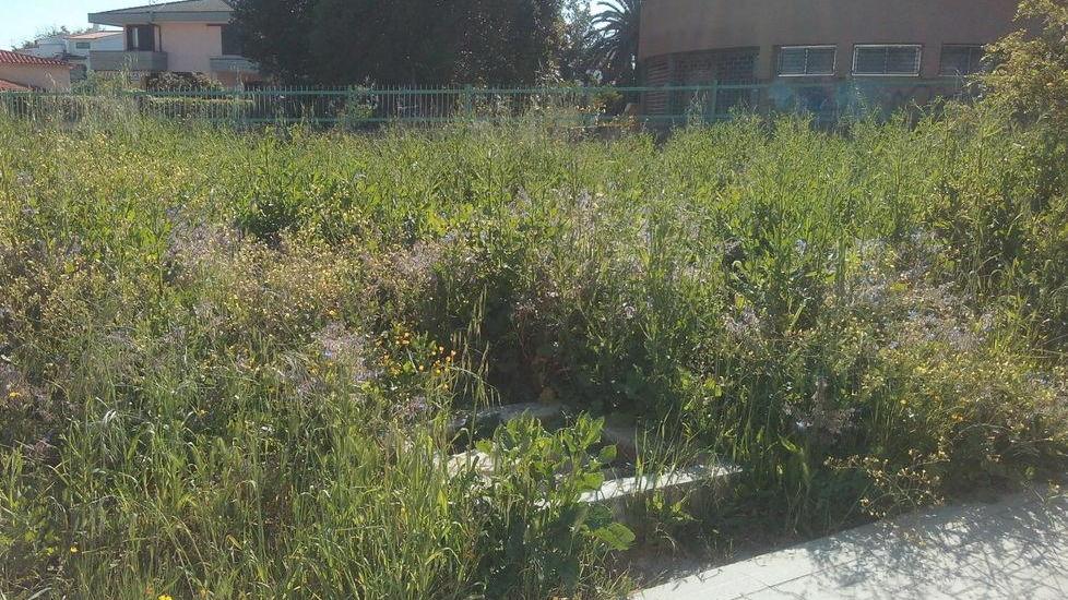 Scuola, il giardino è abbandonato