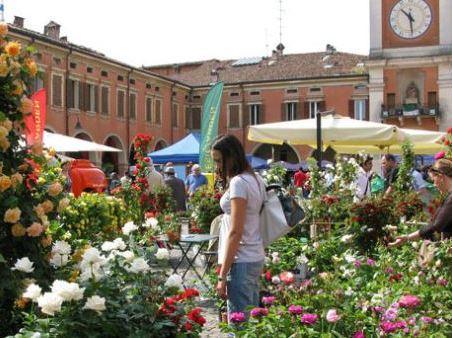 “Sassuolo in fiore”, 40 espositori in centro 