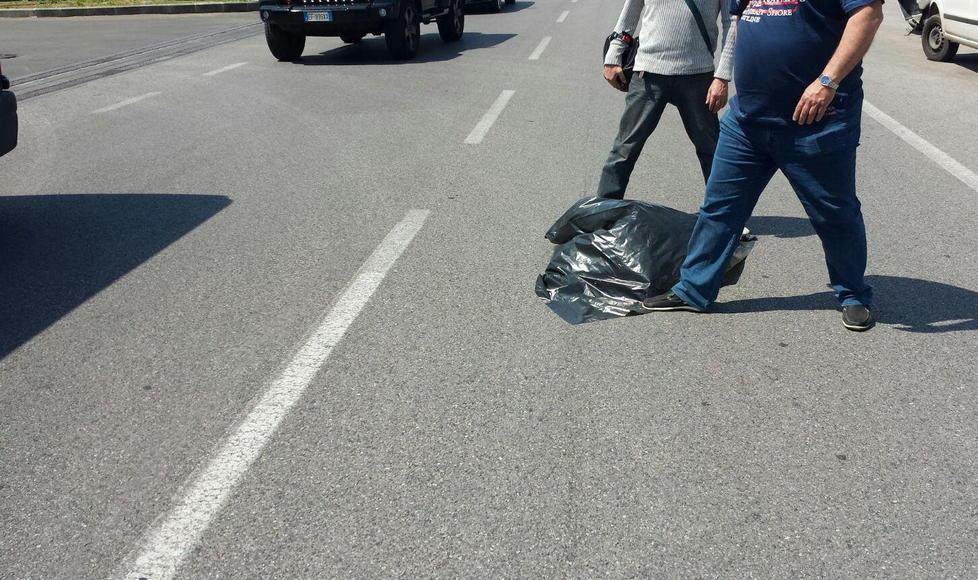 Travolge e uccide un cane con l’auto e poi scappa 