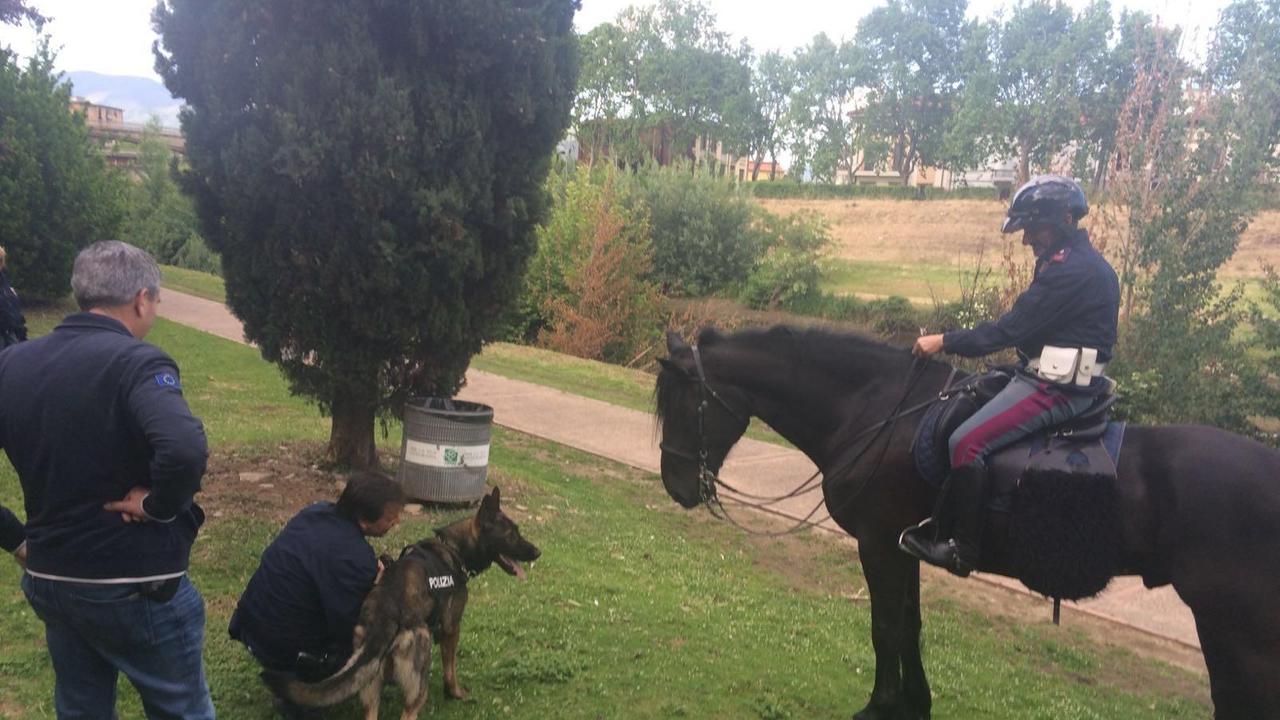 Gli uomini del reparto a cavallo e dell'unità cinofila della polizia di Firenze