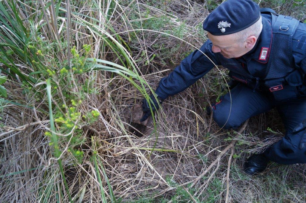 I carabinieri cercano cocaina in un campo (archivio)