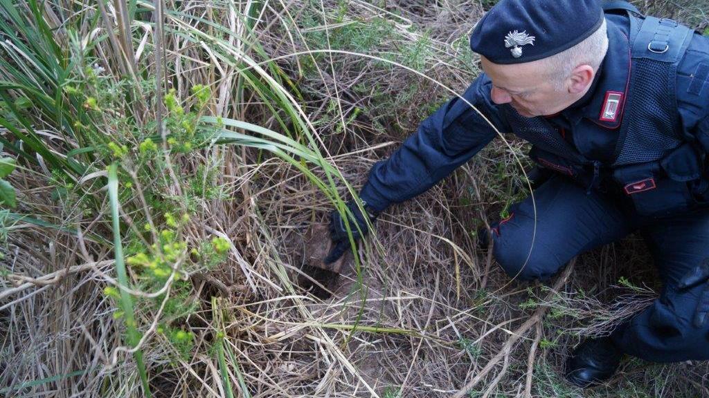 I carabinieri cercano cocaina in un campo (archivio)
