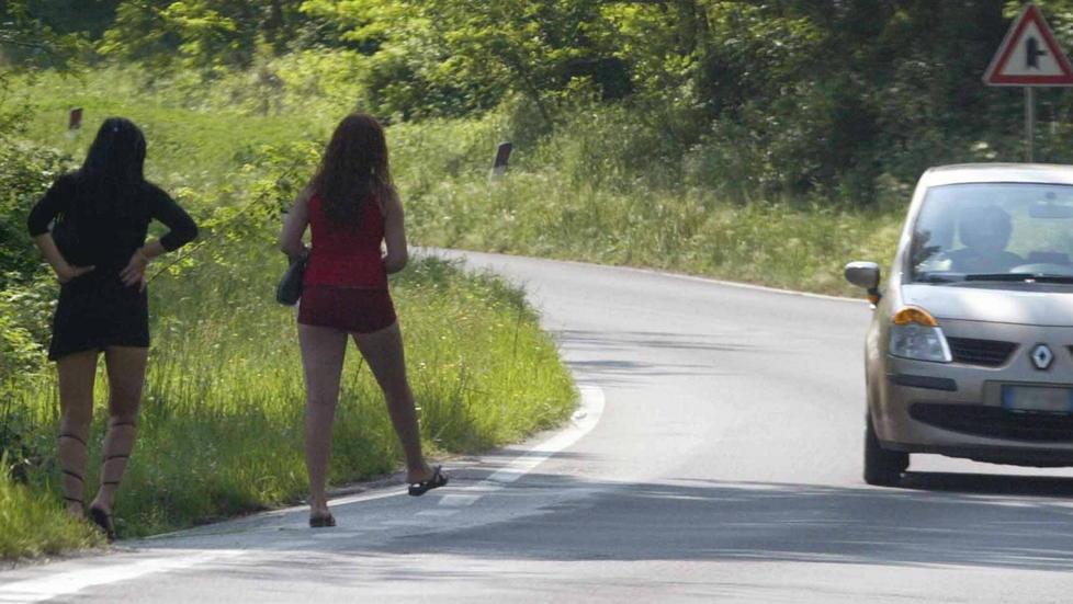 Il pugno duro del sindaco di Fucecchio non spegne le lucciole alle Cerbaie 