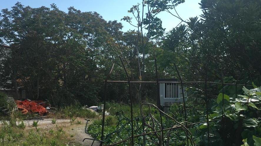 Ai domiciliari nel container abbandonato