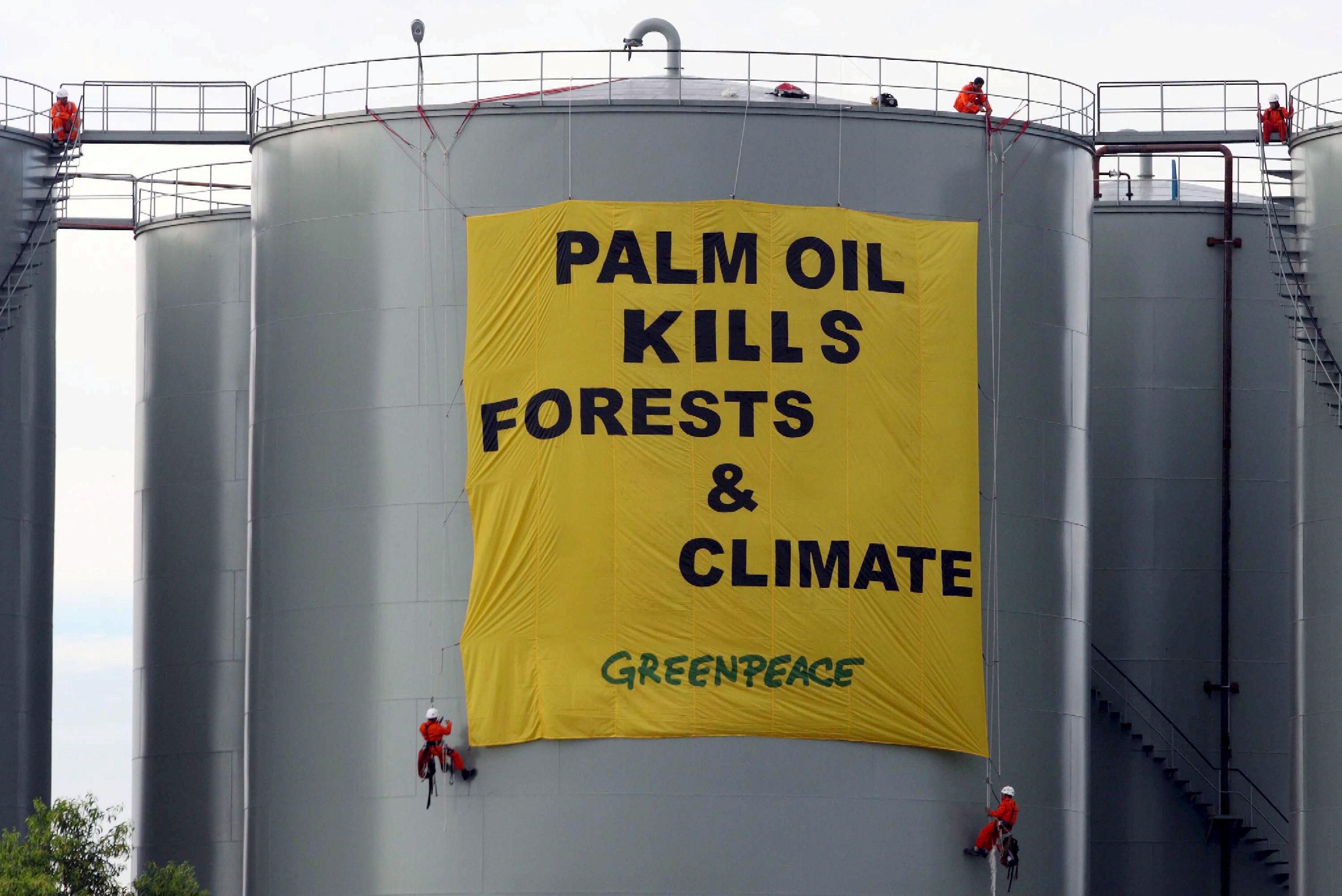 Una spettacolare protesta di Greenpeace contro l'uso dell'olio di palma