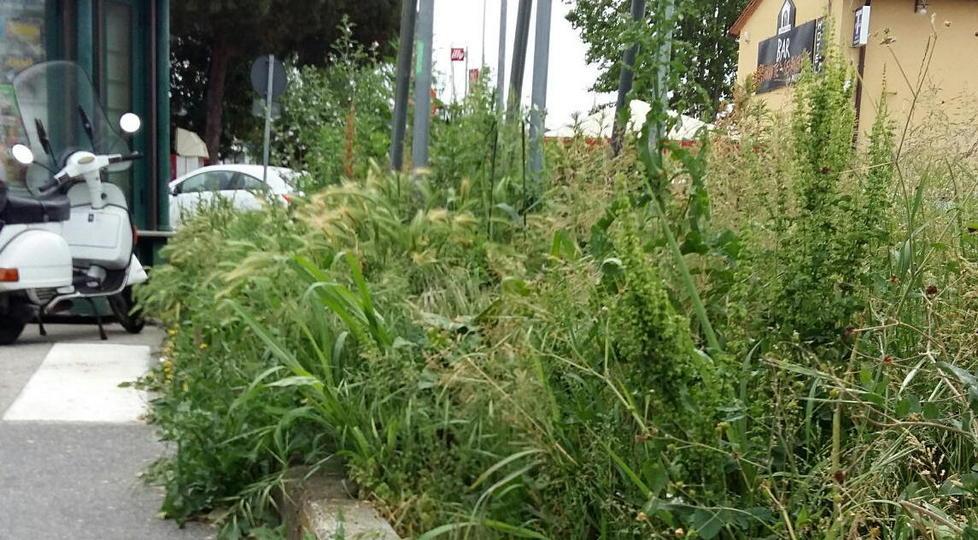 Un’area degradata all’uscita dell’ospedale