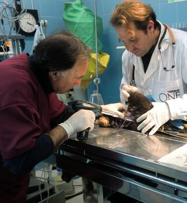 Le nuove frontiere dei veterinari 