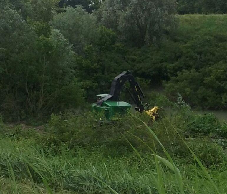 Scempio della fauna sull’argine 