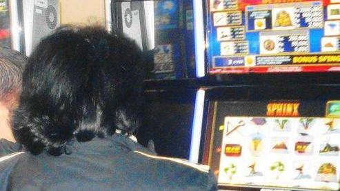 Bper contro il gioco patologico libretto per le vittime delle slot