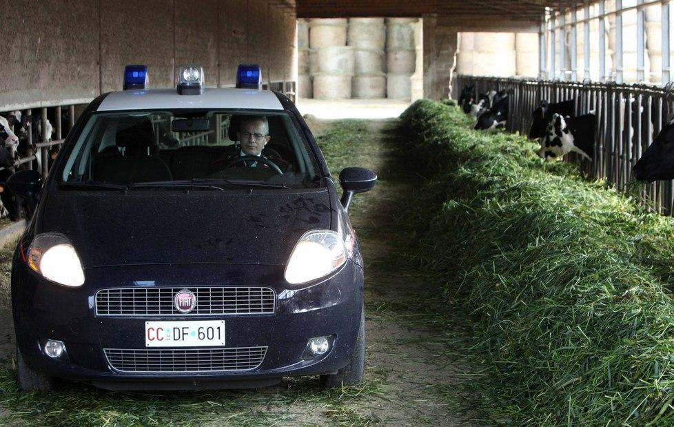 Operaio caricato dal toro 