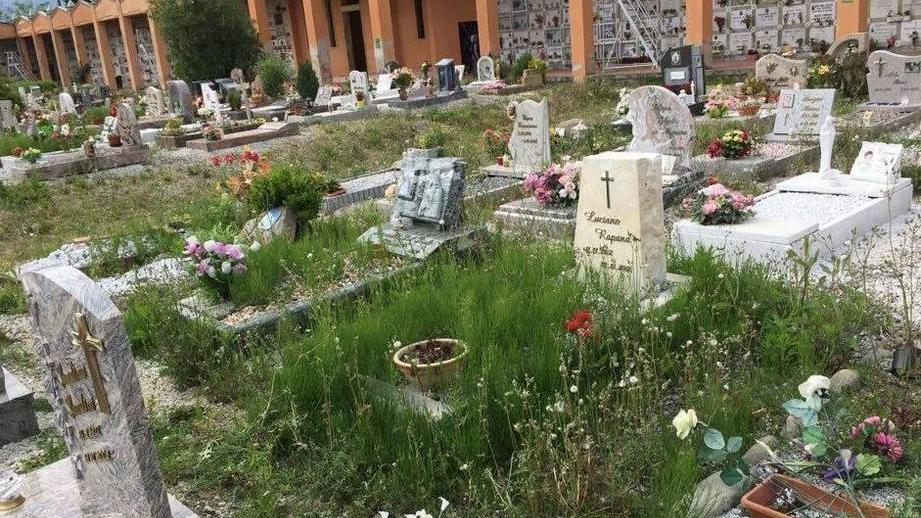 «Le tombe sommerse dalle erbacce»