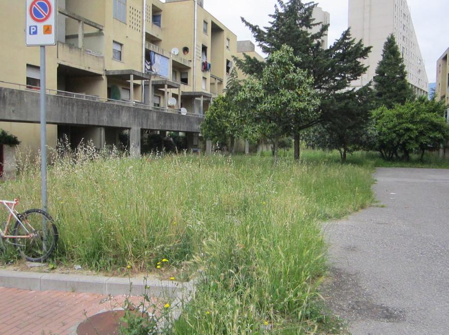 Incuria e troppa vegetazione alle Fornaci 