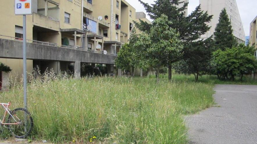Incuria e troppa vegetazione alle Fornaci