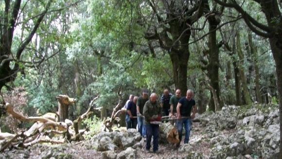 Forestas, i dipendenti pronti alla mobilitazione 