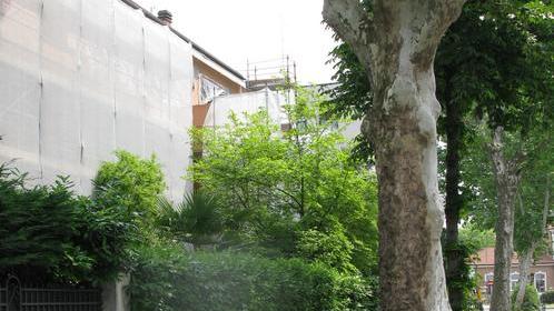Ladro scala palazzo ma è scoperto
