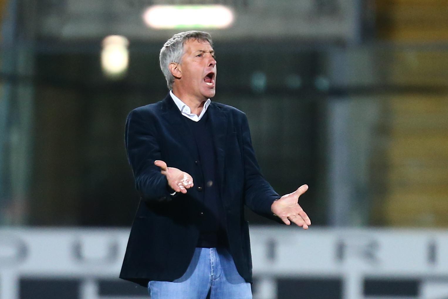 mister bergodi