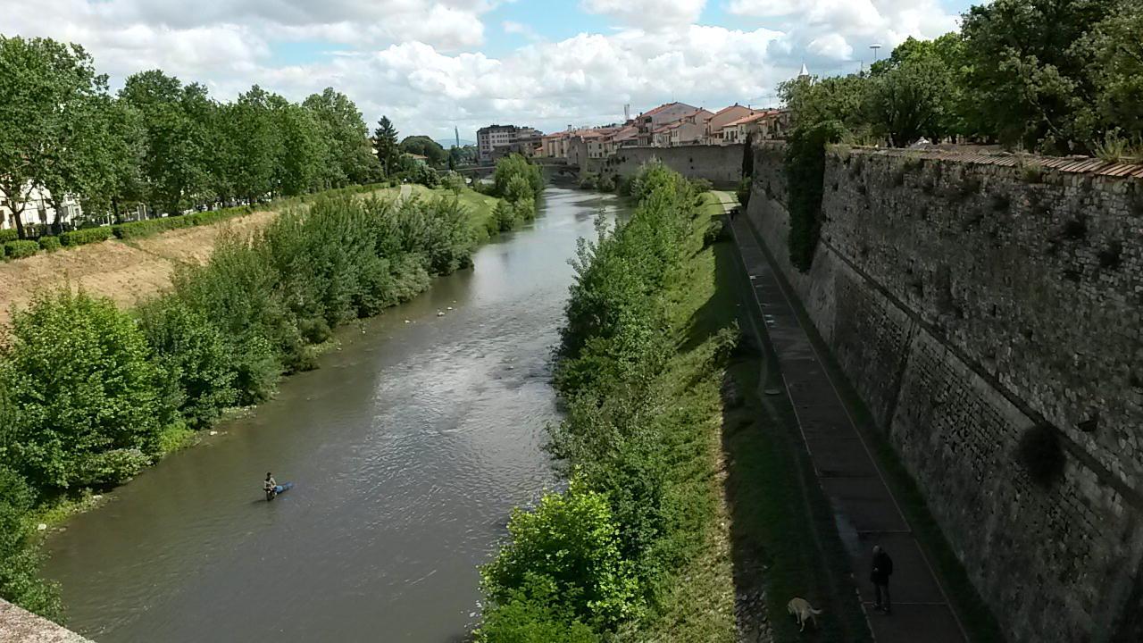 Le piante nell'alveo del Bisenzio