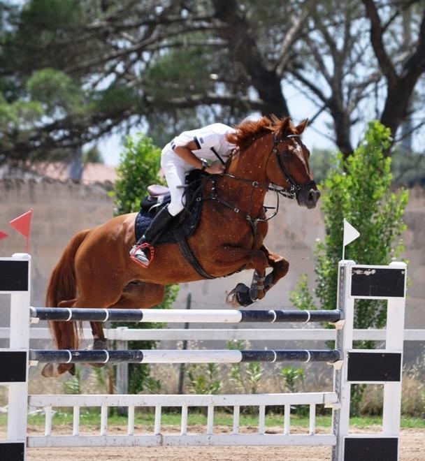 Un lungo weekend di equitazione 