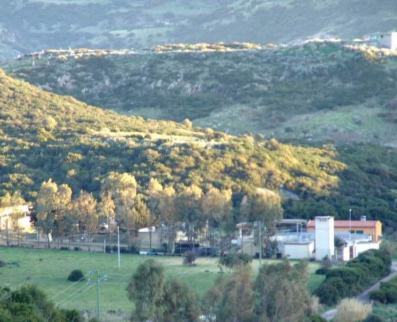 Planargia marina, Abbanoa prepara i nuovi collettori 