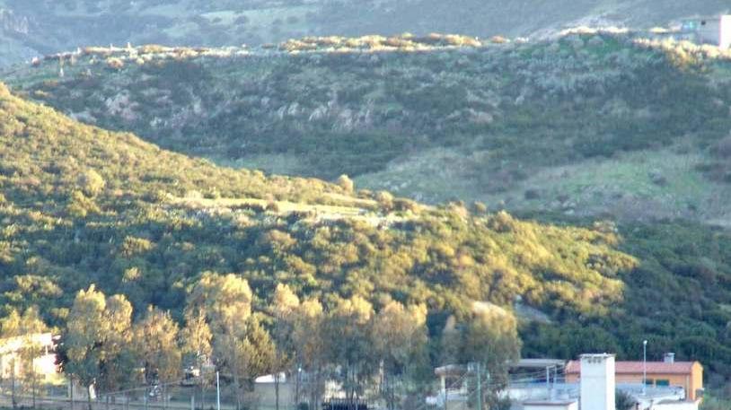 Planargia marina, Abbanoa prepara i nuovi collettori